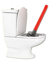 clogged toilet